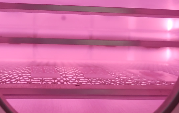 Plasma清洗機.png Plasma清洗機.png